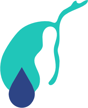 Bile Leak and Strictures